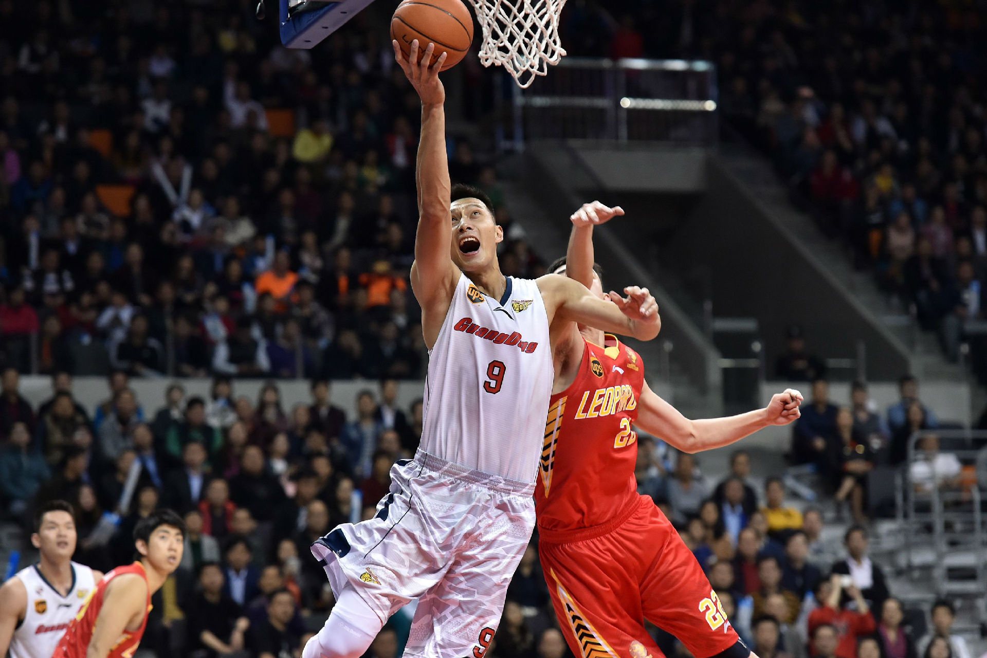 年轻棋手王 年轻棋手王