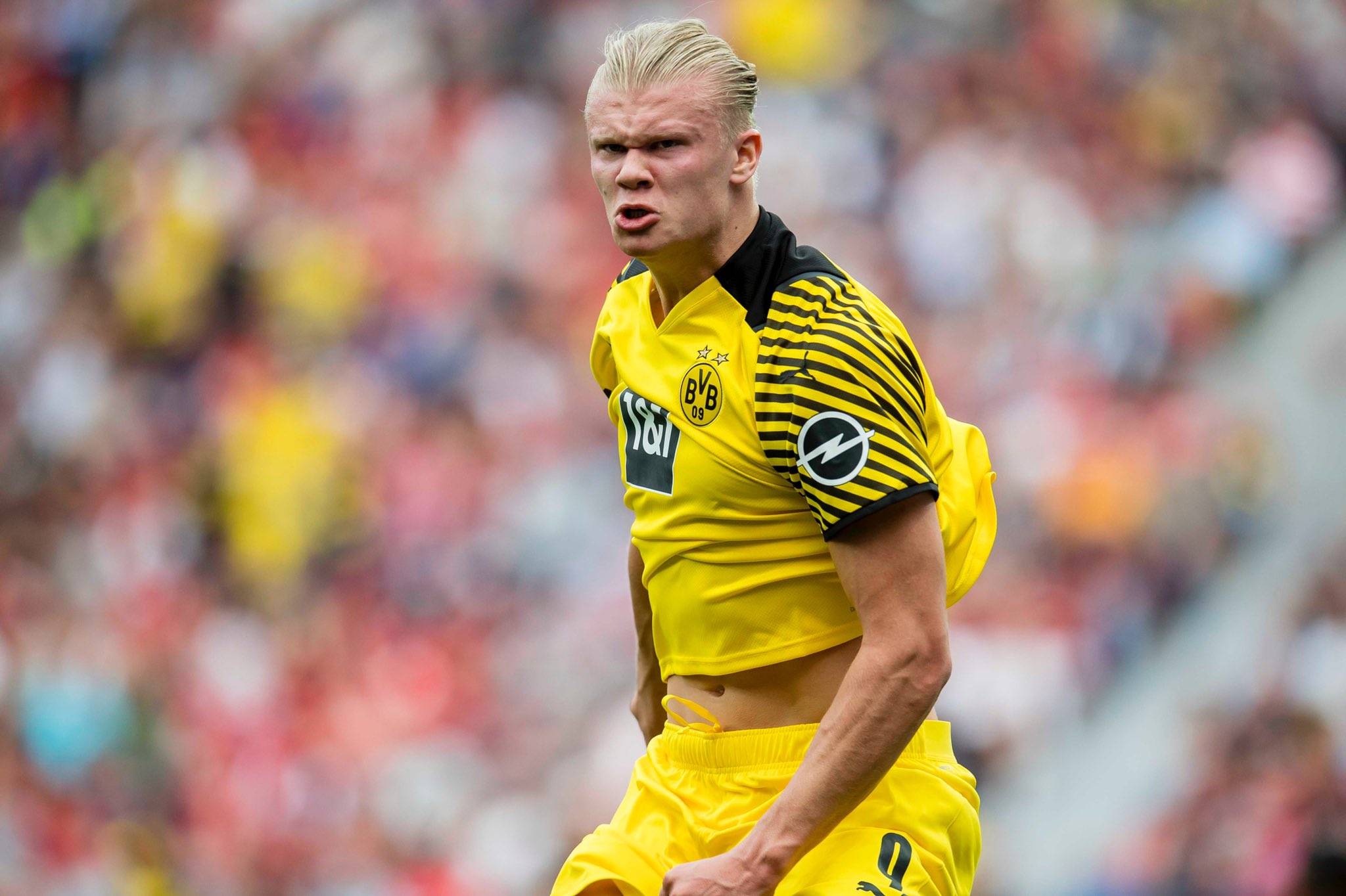 AC米兰在 AC米兰在